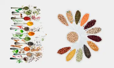Organic Food