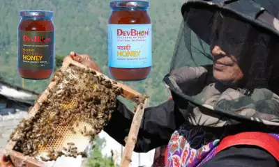 Pure honey producers