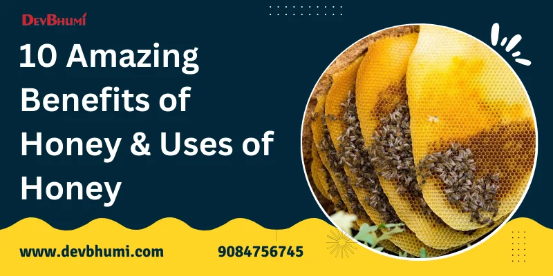 10 Amazing Benefits of Honey - Advantages & Uses of Honey