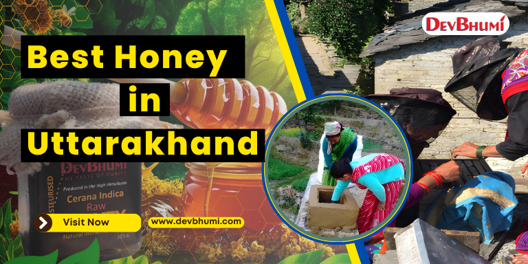 Best Honey in Uttarakhand India