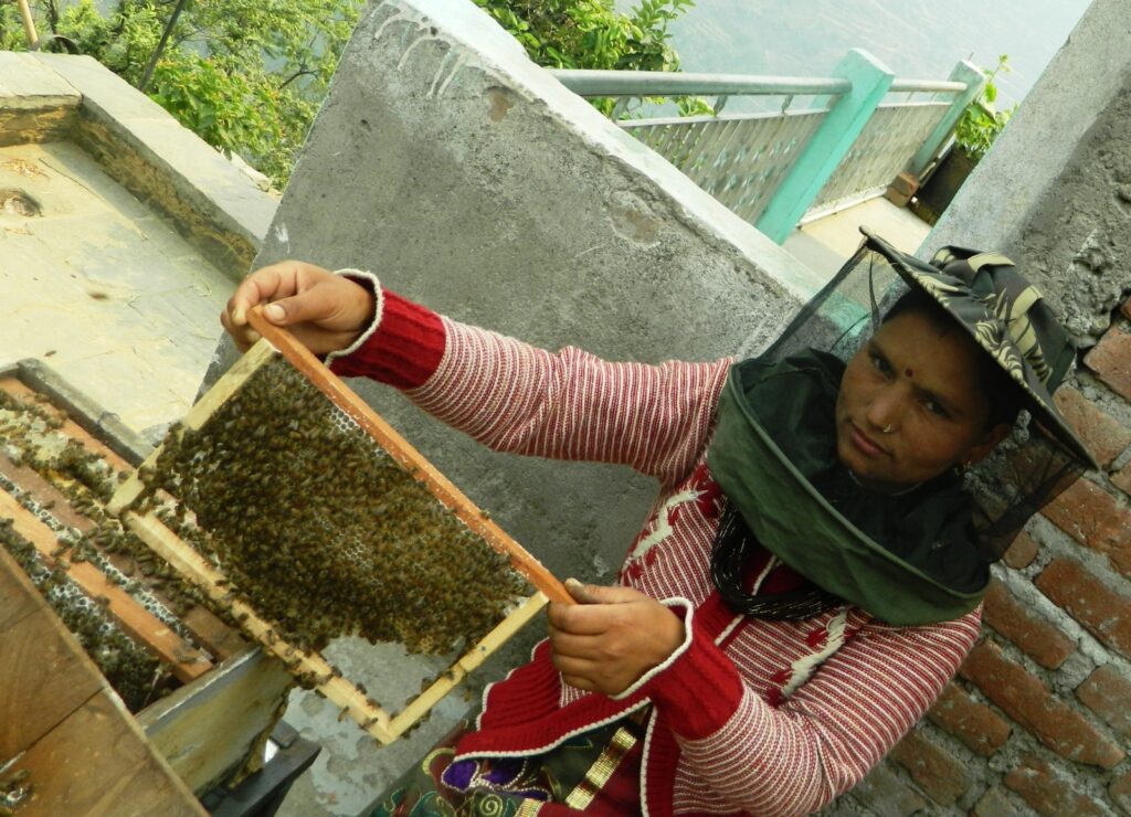 devbhumi honey employ image